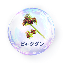 ビャクダン