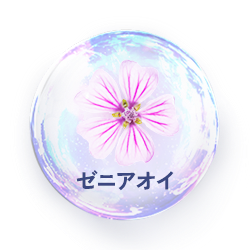 ゼニアオイ