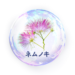 ネムノキ