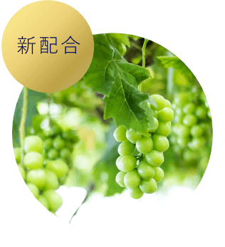 クロノシャルディ