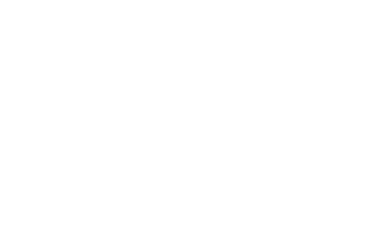 PRESENT CAMPAIGN