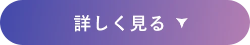詳しく見る